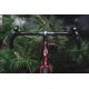 Велосипед BOMBTRACK ARISE TOUR custom V01 L червоний - photo 9